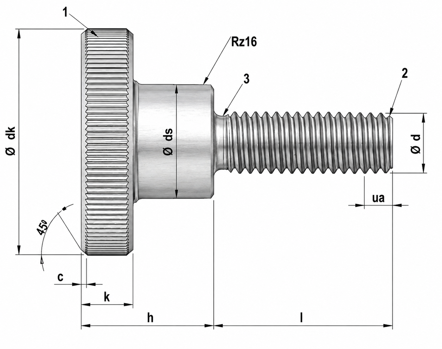 Stainless Steel Thumb Screws DIN 464