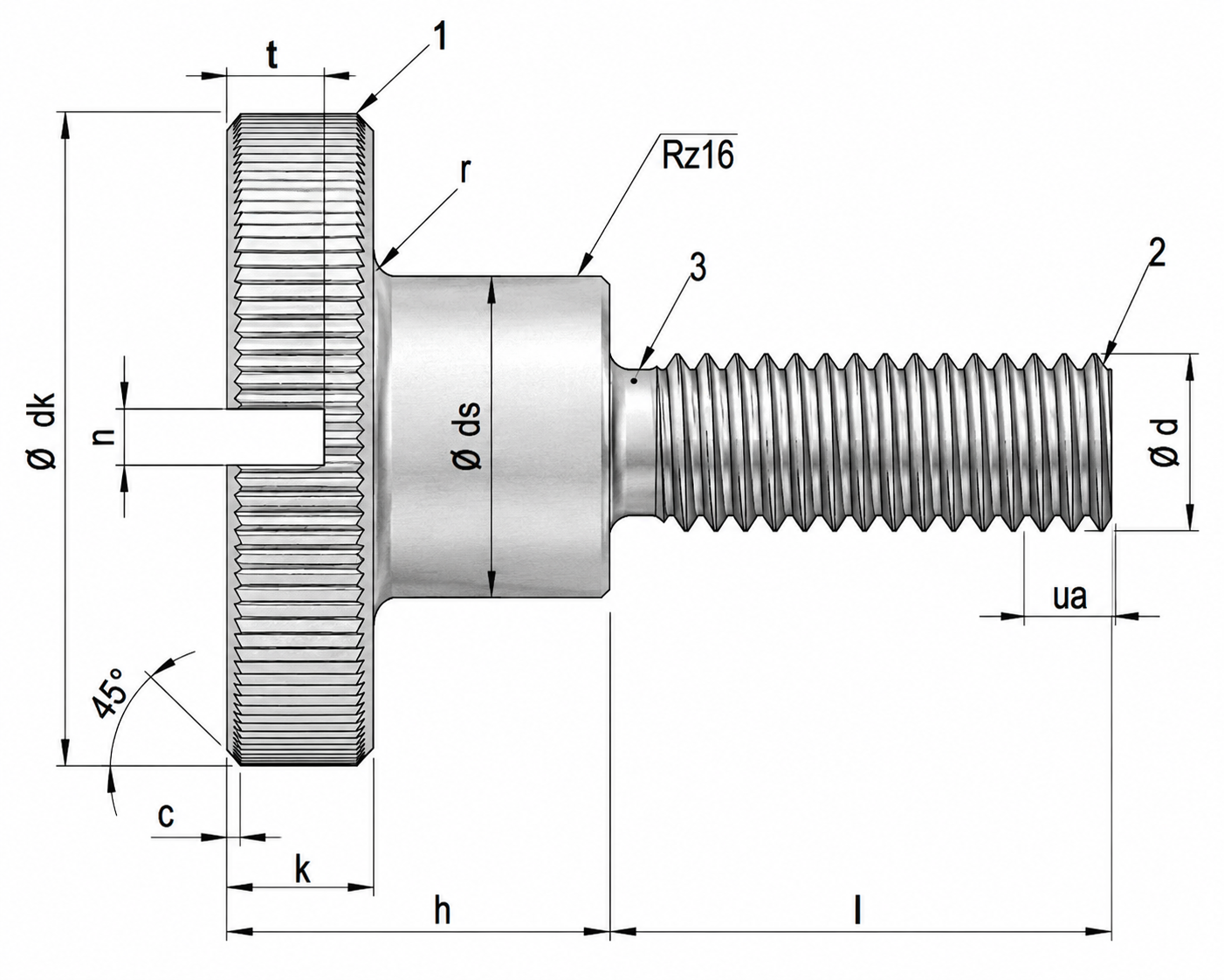 Stainless Steel Slotted Thumb Screws DIN 465