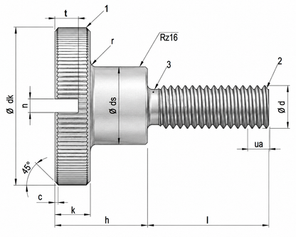 Stainless Steel Slotted Thumb Screws DIN 465