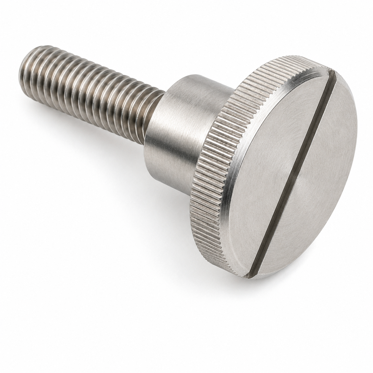 Stainless Steel Slotted Thumb Screws DIN 465