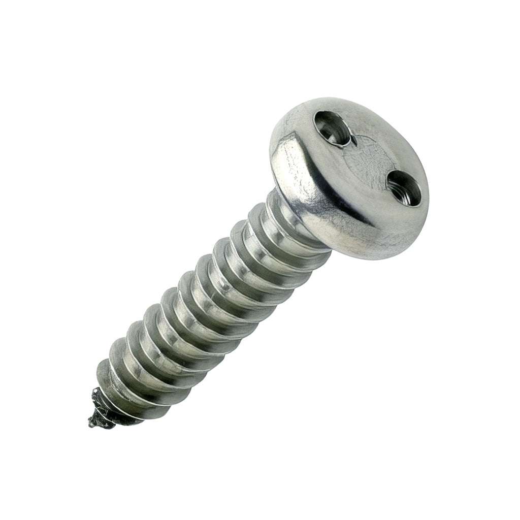 Pan snake eye drive stainless steel security fastener with tamper-resistant head
