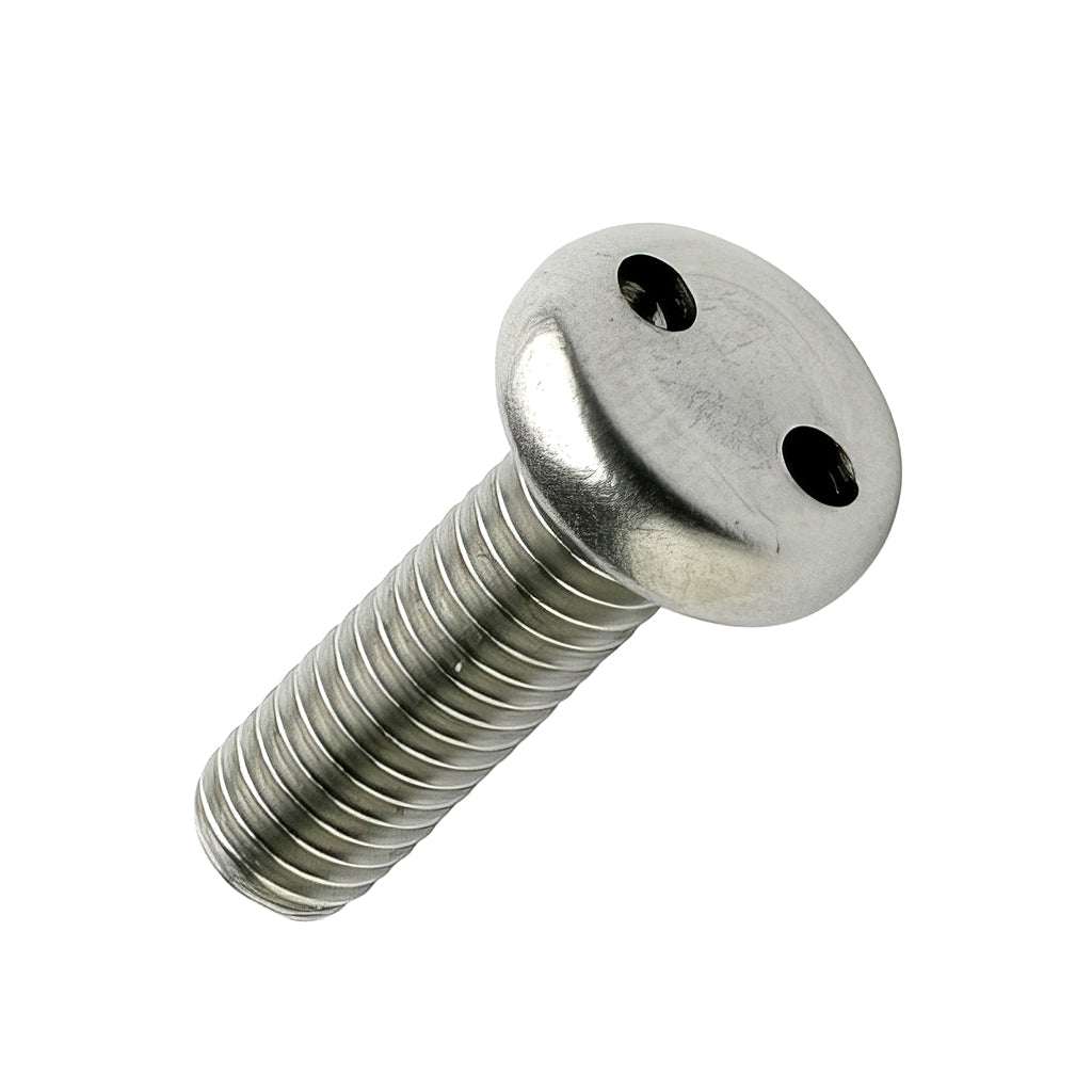 Pan snake eye drive stainless steel security screws with tamper-resistant two-hole design